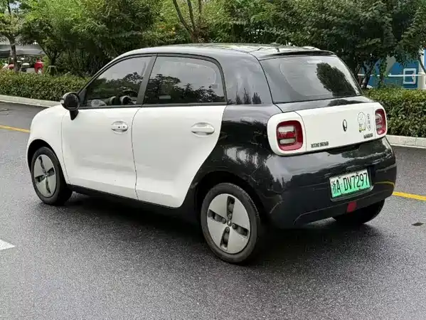 Ora Black Cat 2021