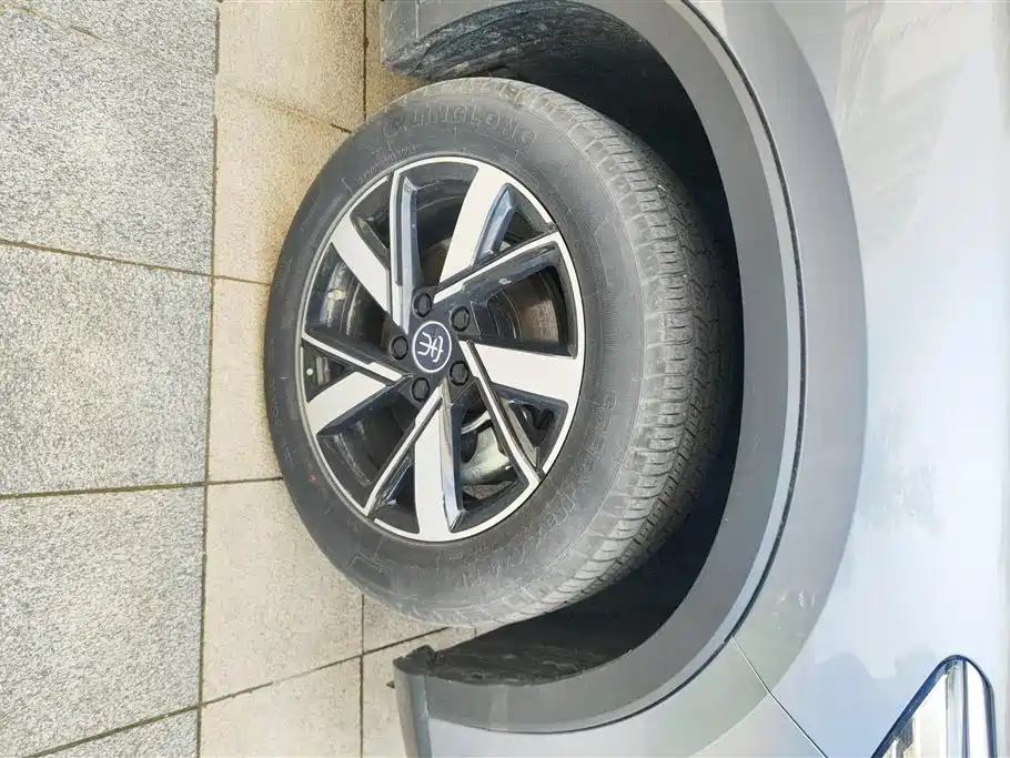 BYD Pro New Energy 2024 — фото 6