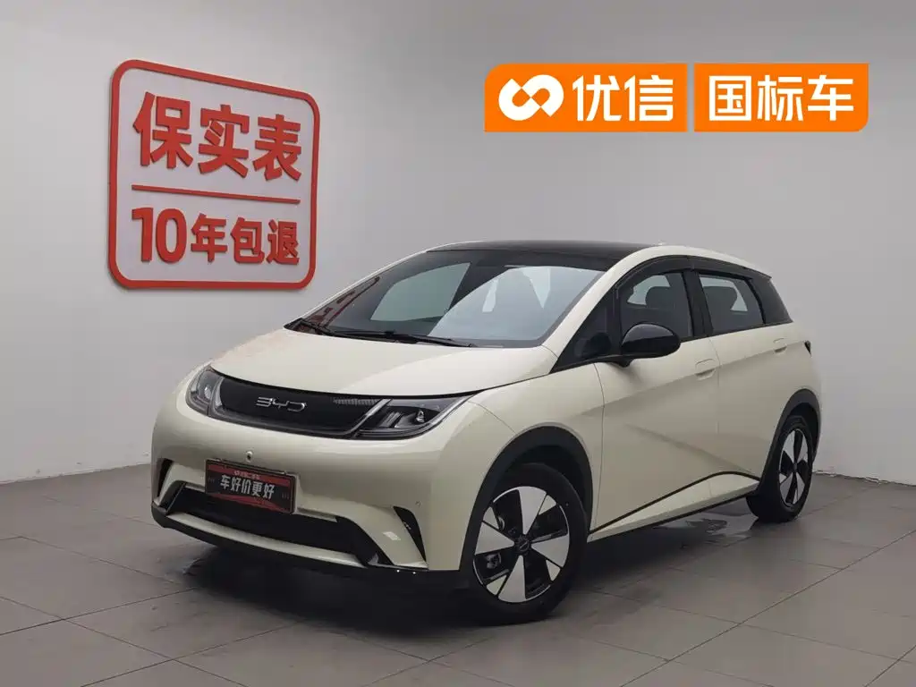 BYD Dolphin 2024