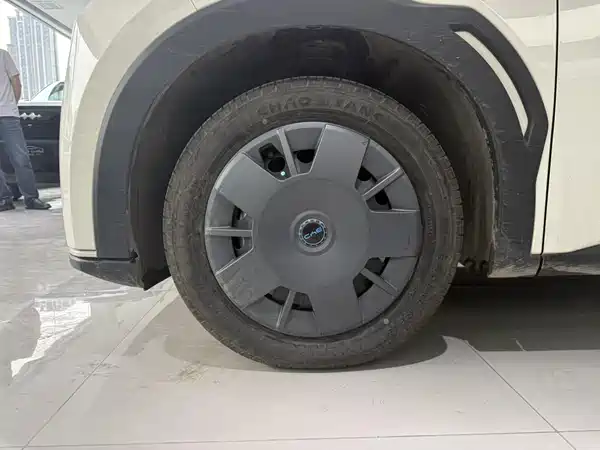 BYD Seagull 2025