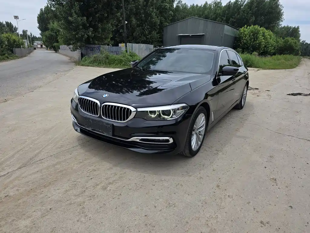 BMW 5 Series 2019