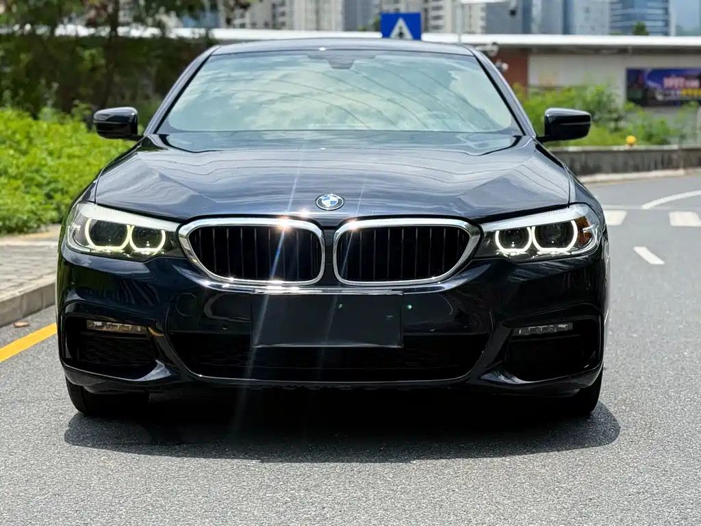 BMW 5 Series 2018 — фото 17
