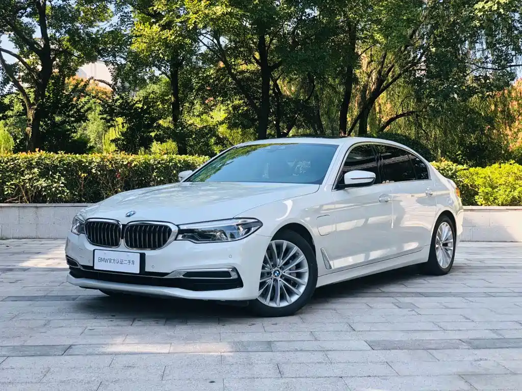 BMW 5 Series New Energy 2020 — фото 1