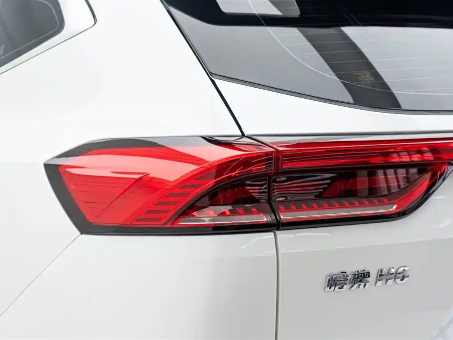 Haval H6 2022 — фото 11