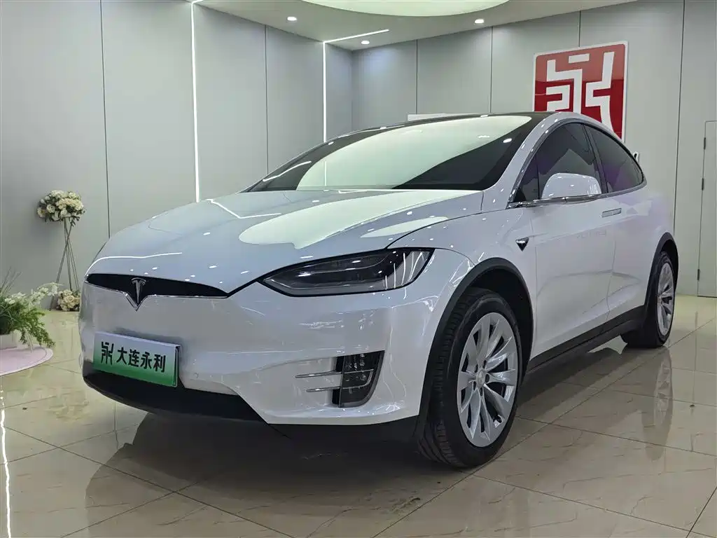 Tesla Model X 2020 — фото 1