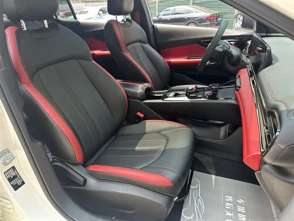GAC Motor Shadow Leopard 2023 — фото 13