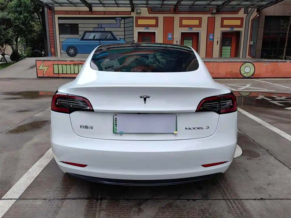 Tesla Model 3 2021 — фото 13