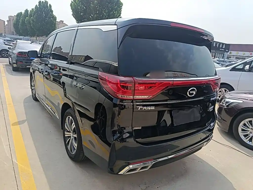 GAC Trumpchi M8 2020 — фото 5