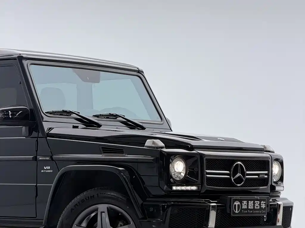Mercedes-Benz G-Class 2018 — фото 13