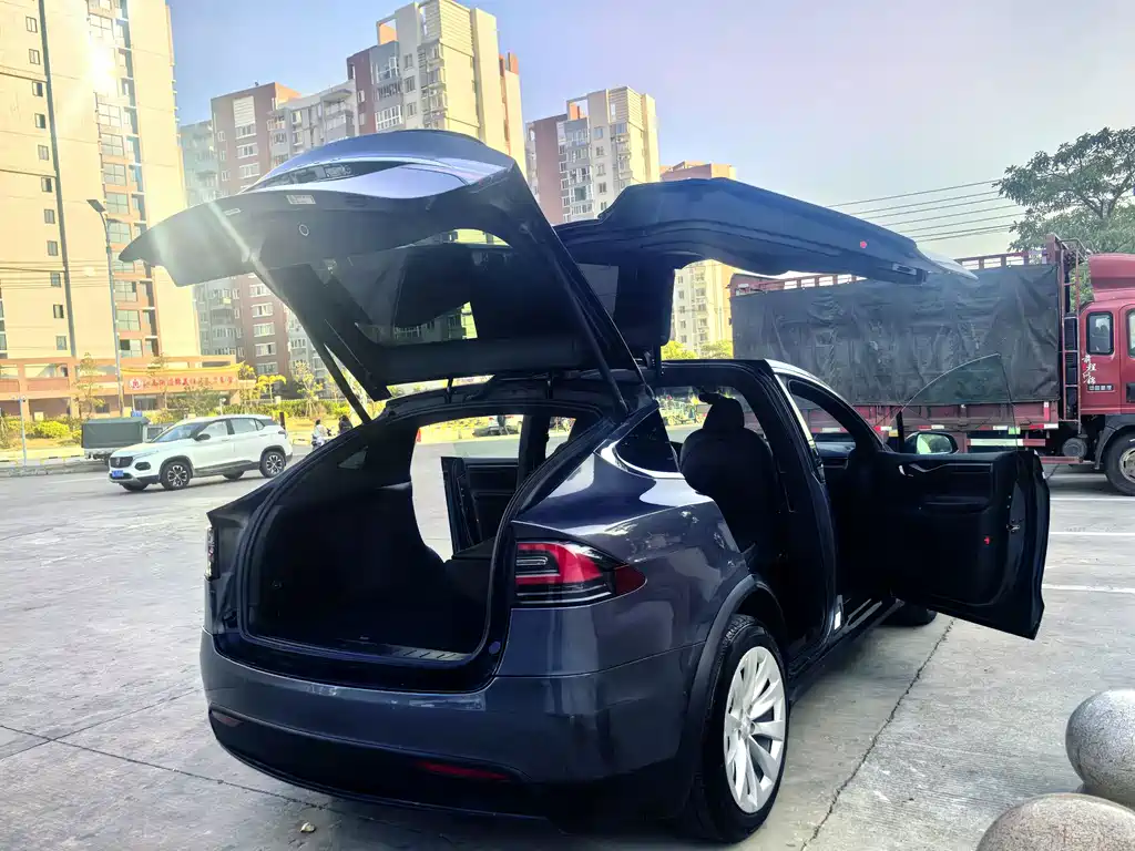 Tesla Model X 2020 — фото 14