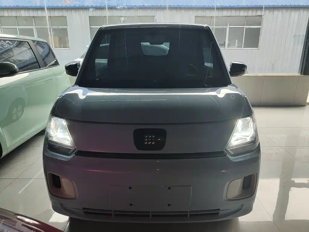 Fengguang MINIEV 2024