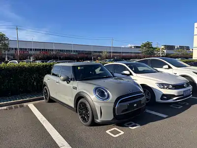 MINI MINI 2021