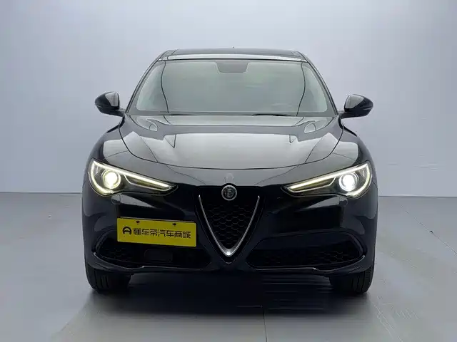Alfa Romeo Stelvio 2019 — фото 2