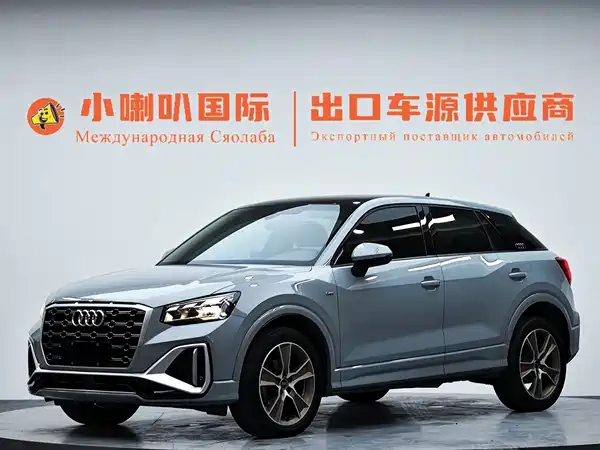 Audi Q2L 2022