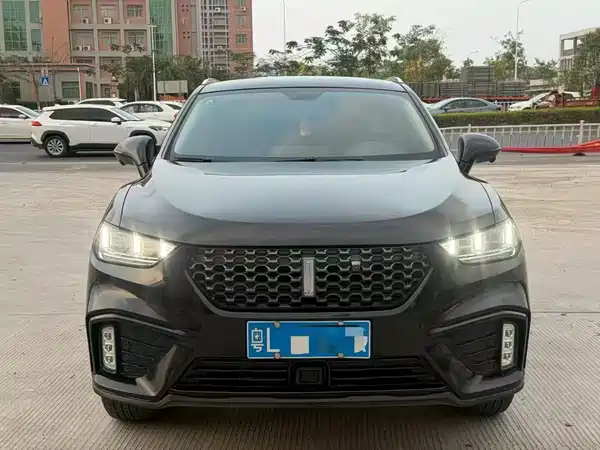 Wey VV5 2020