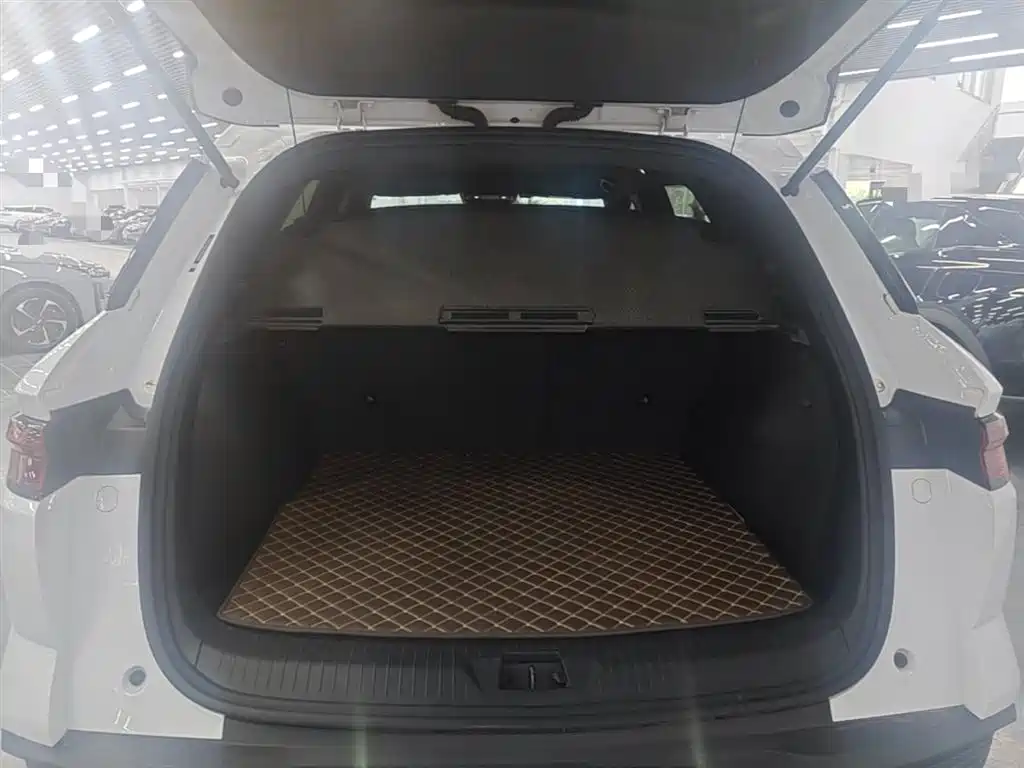 BYD Pro New Energy 2025 — фото 15