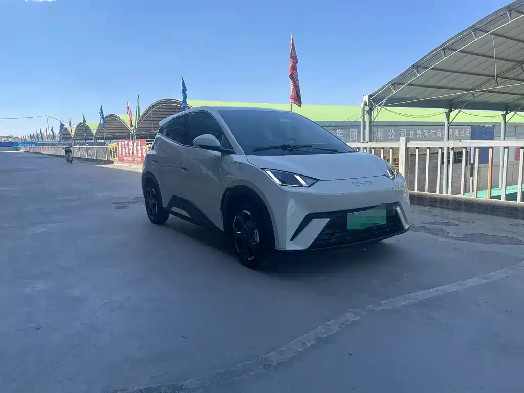 BYD Seagull 2025