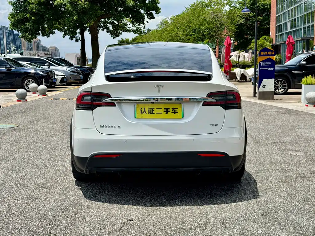 Tesla Model X 2017 — фото 8