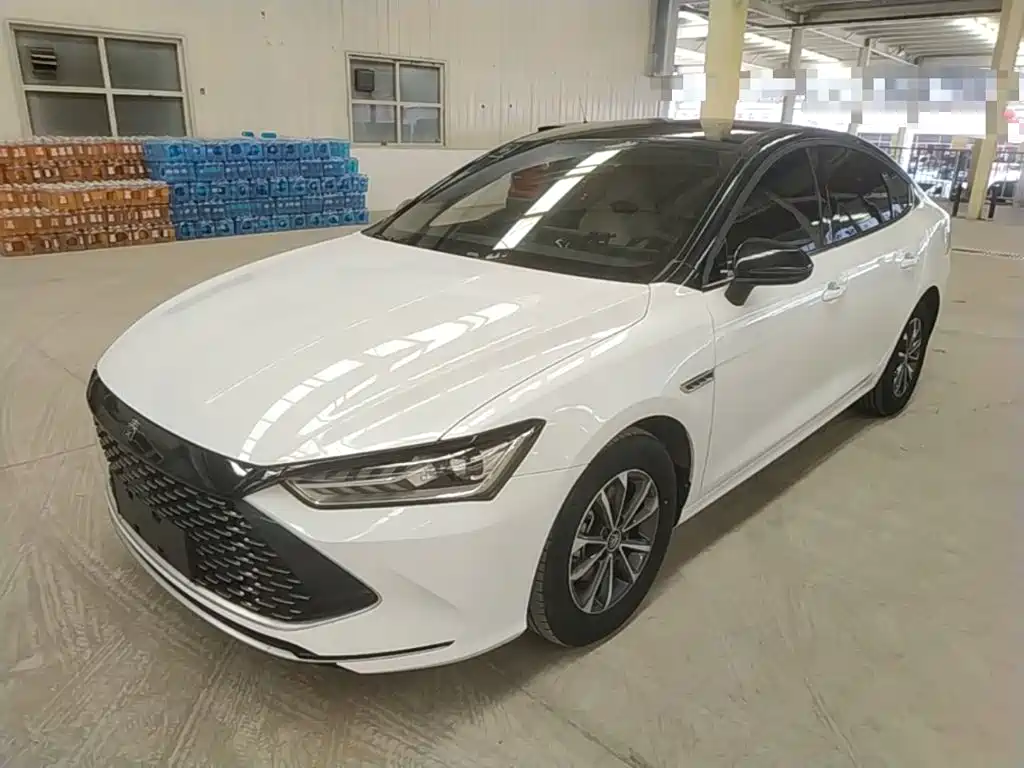 BYD Qin PLUS 2024 — фото 1