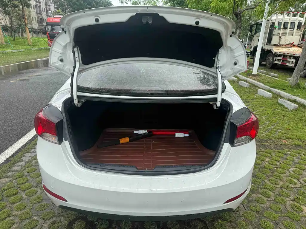 Hyundai Elantra Langdong 2015 — фото 14