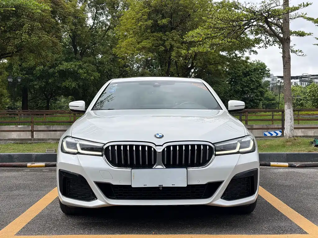 BMW 5 Series 2021
