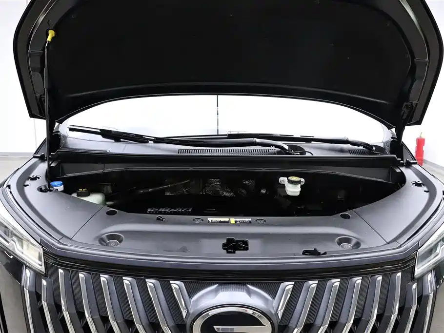GAC Motor Trumpchi M8 2024 — фото 32
