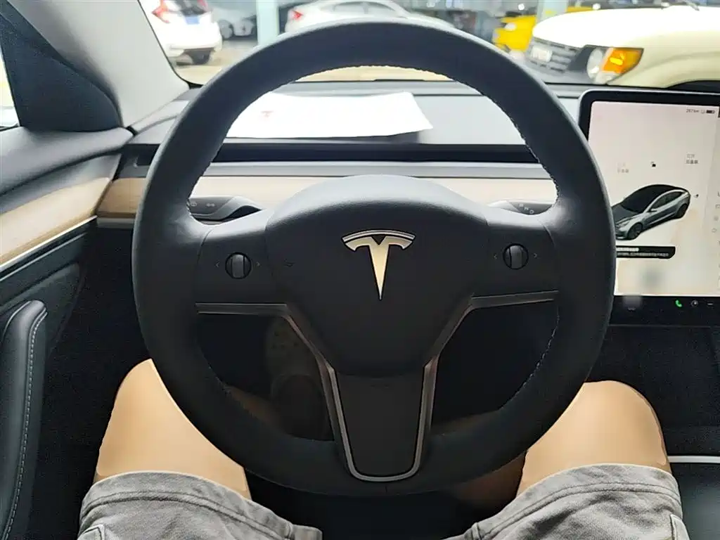 Tesla Model 3 2021 — фото 11