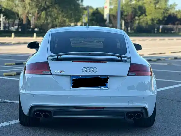 Audi TTS 2014