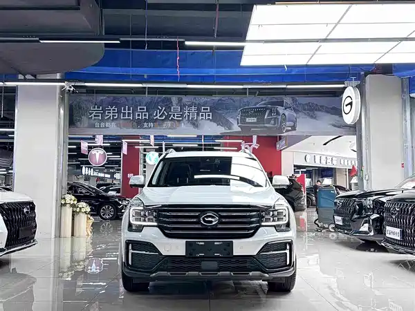 GAC Trumpchi GS8 2020