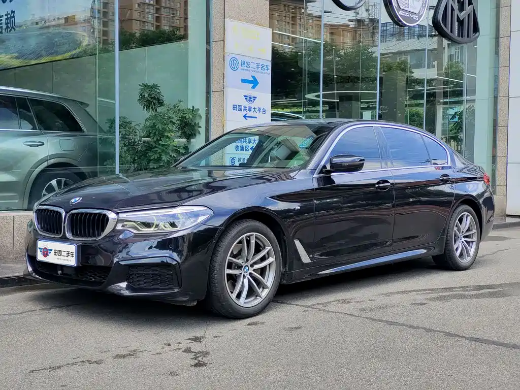 BMW 5 Series 2019