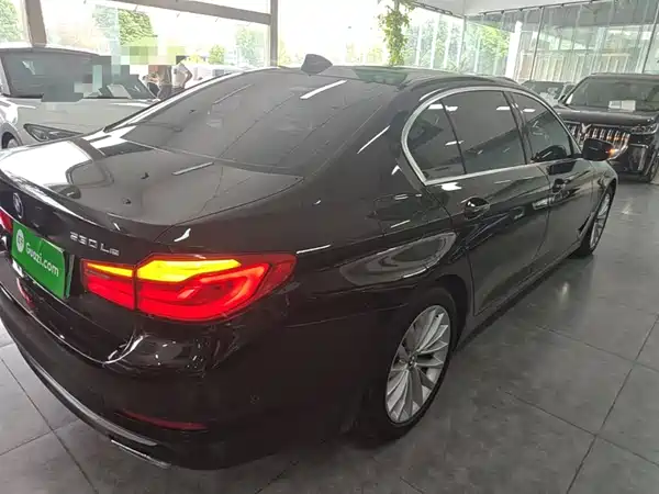 BMW 5 Series New Energy 2020