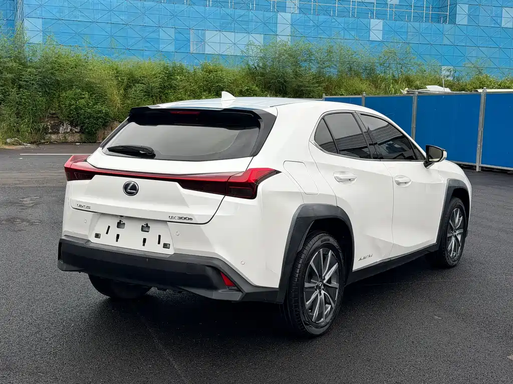 Lexus UX New Energy 2020 — фото 12