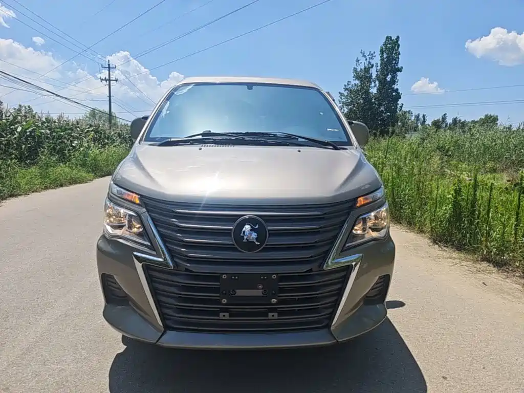 Dongfeng Lingzhi 2024