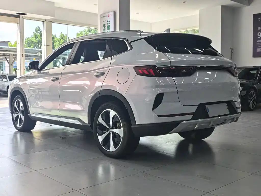 BYD Song PLUS New Energy 2022 — фото 17