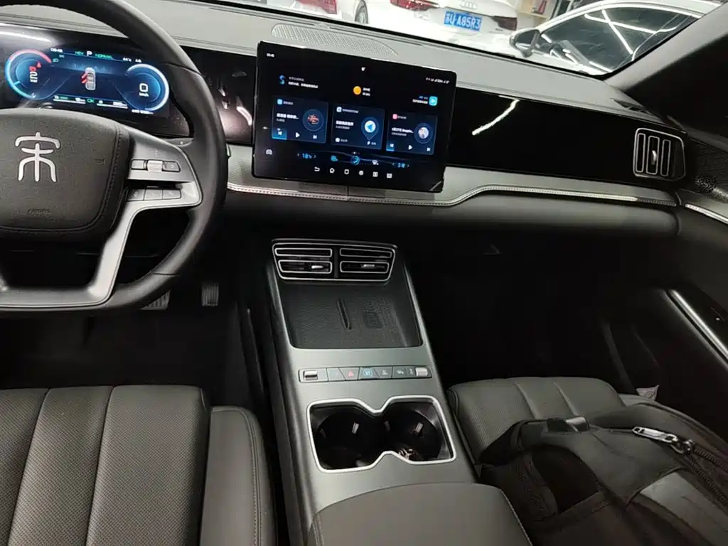 BYD Song Pro New Energy 2026 — фото 10