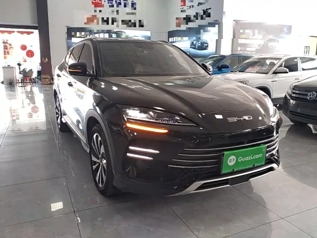 BYD Song PLUS New Energy 2024 — фото 4
