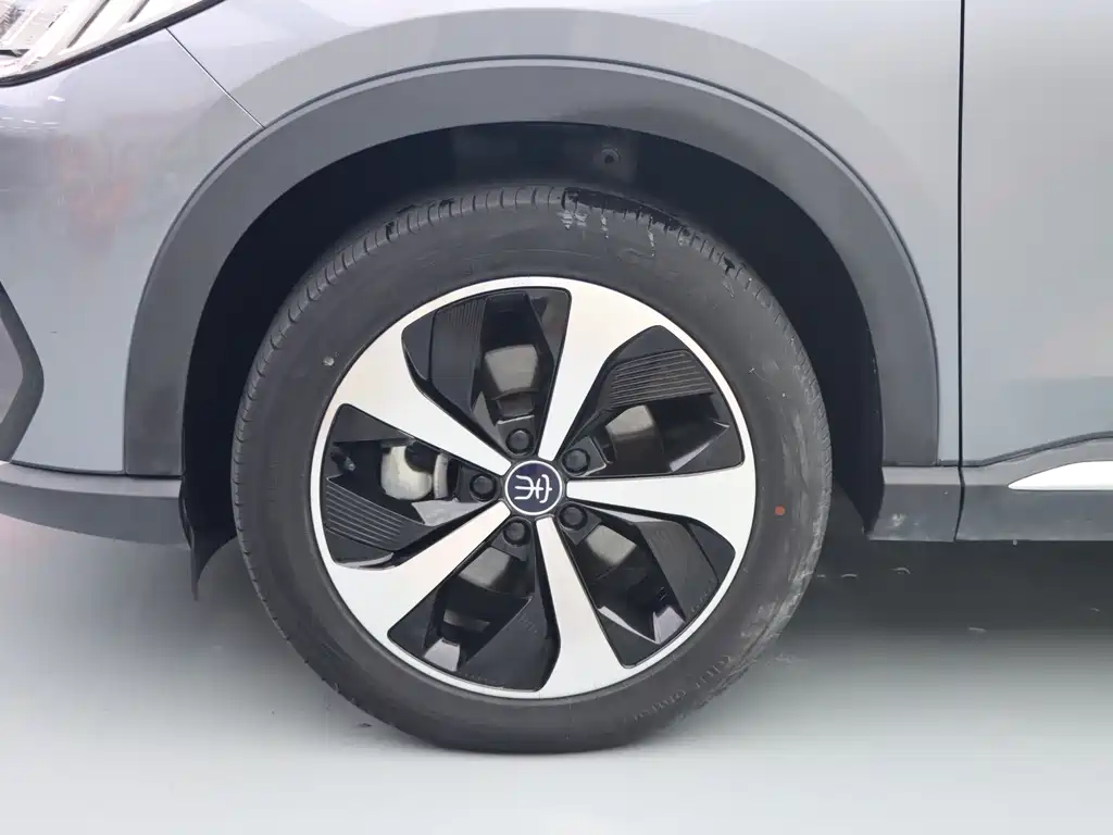 BYD Song PLUS New Energy 2021 — фото 4