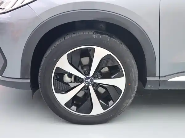 BYD Song PLUS New Energy 2021