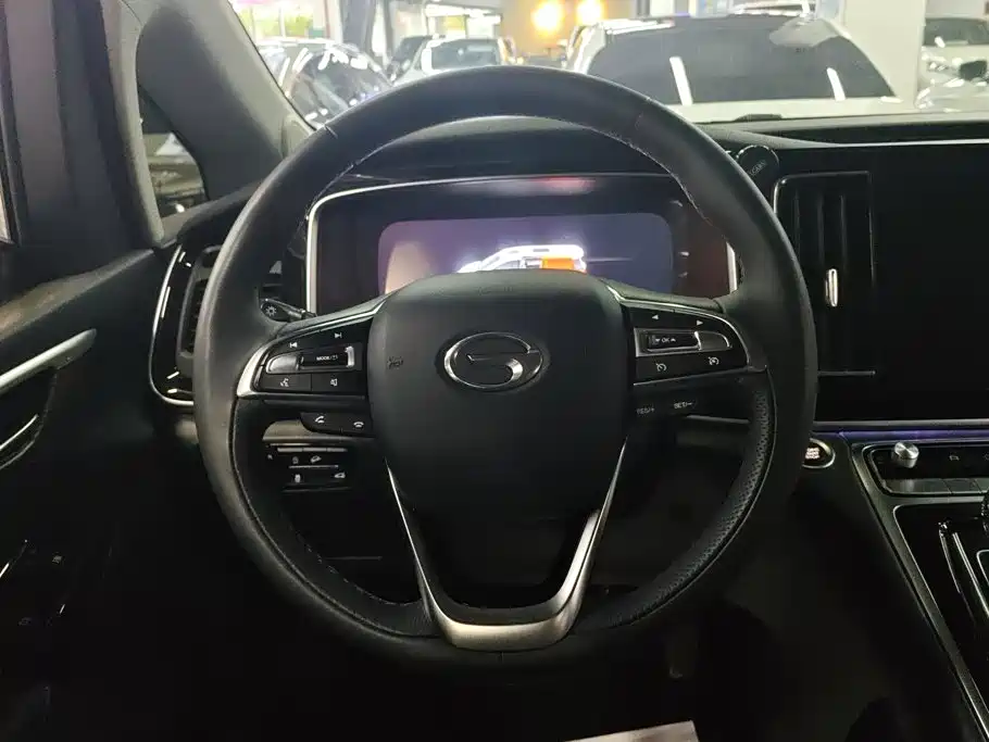 GAC Trumpchi M8 2021 — фото 15