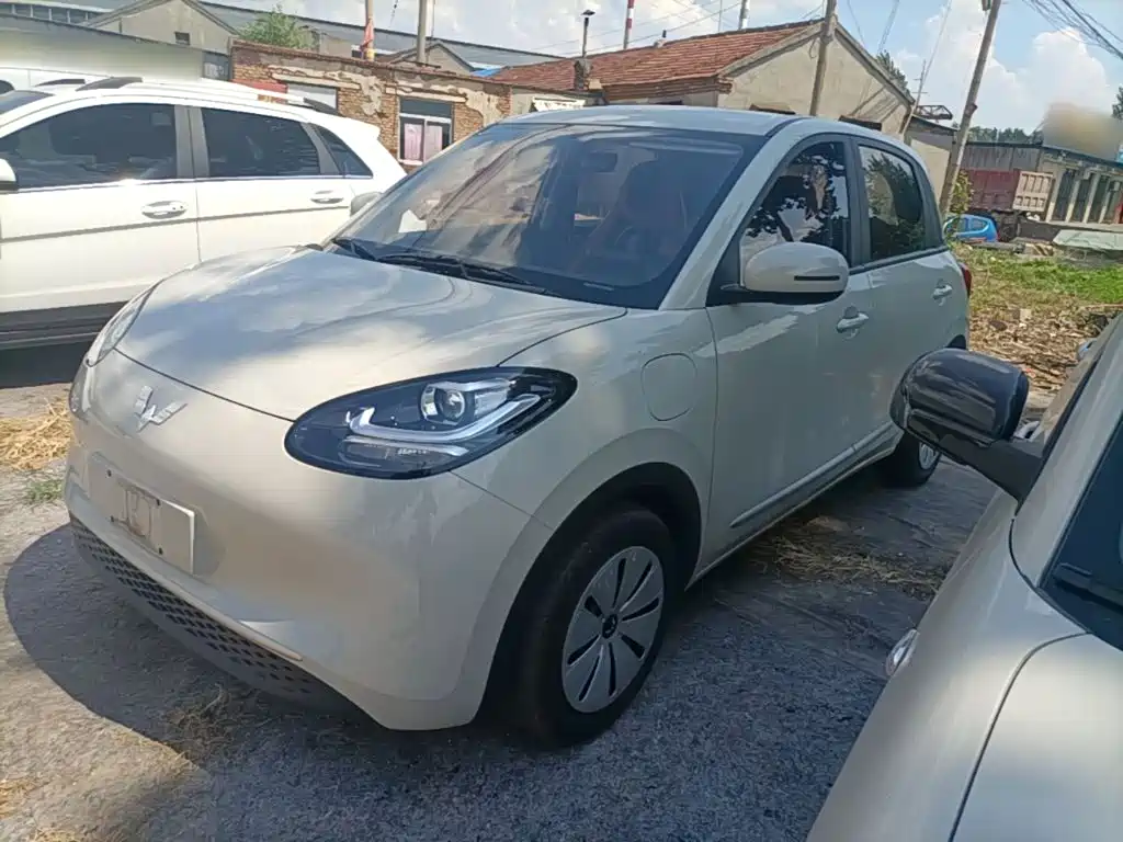Wuling Bingo 2024