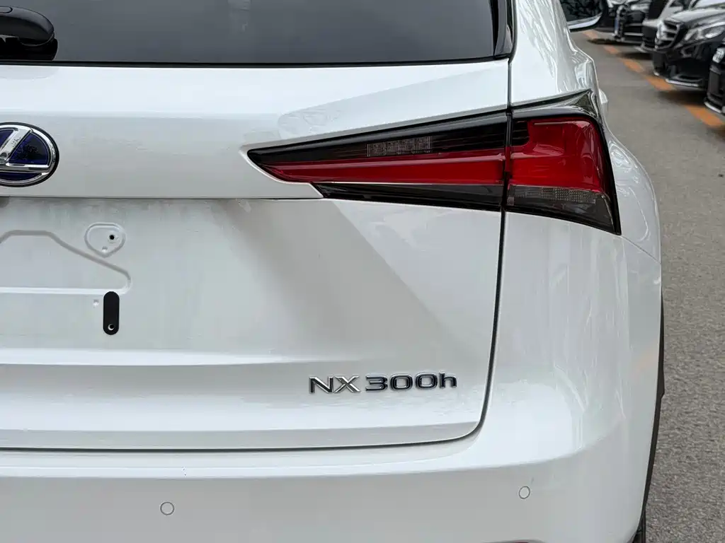 Lexus NX 2019 — фото 18
