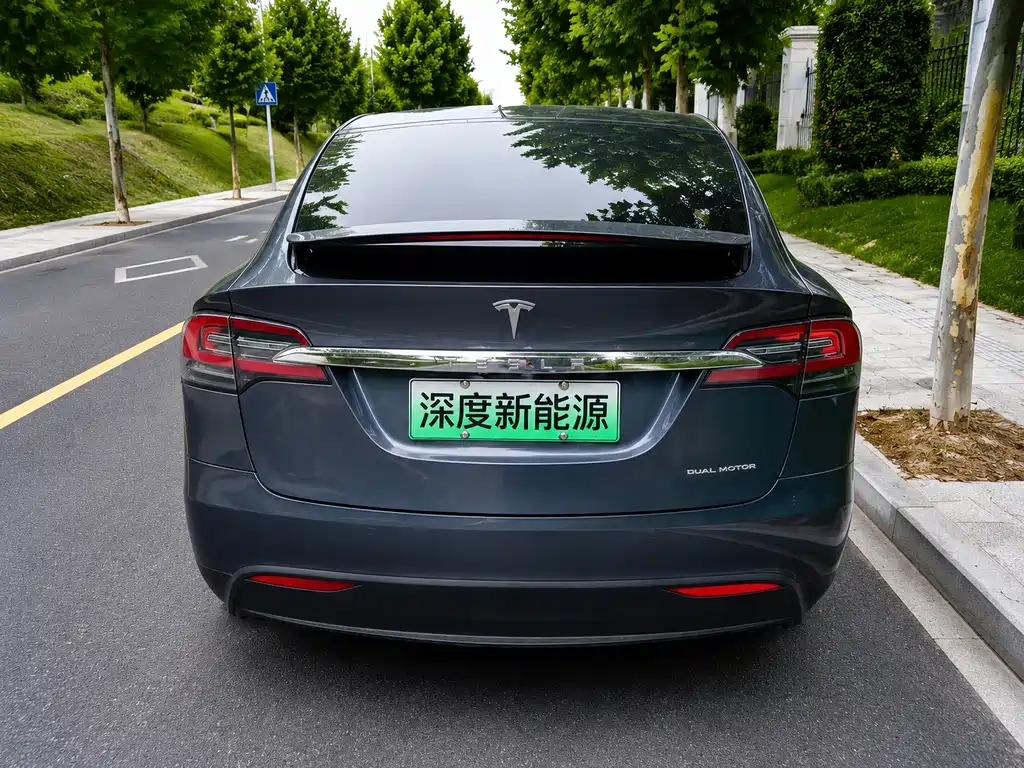 Tesla Model X 2019 — фото 8