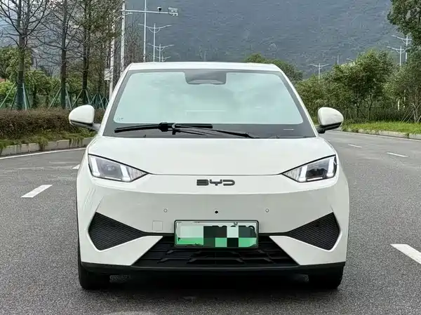 BYD Seagull 2025