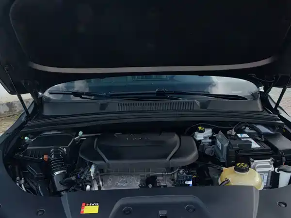 Wuling Victory 2021