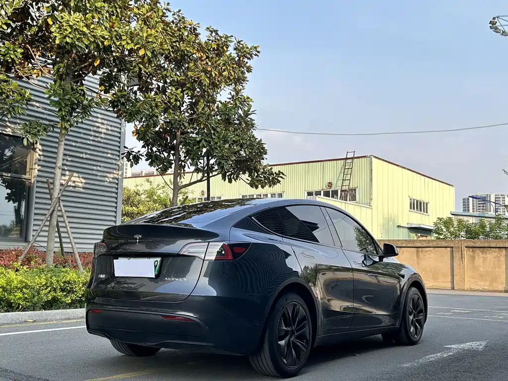 Tesla Model Y 2024 — фото 8