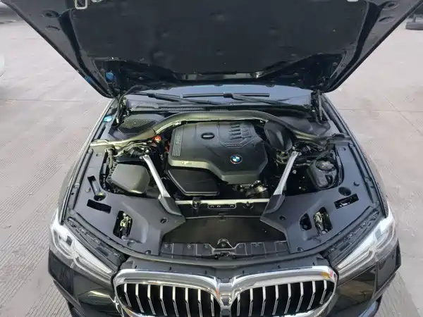 BMW 5 Series 2021