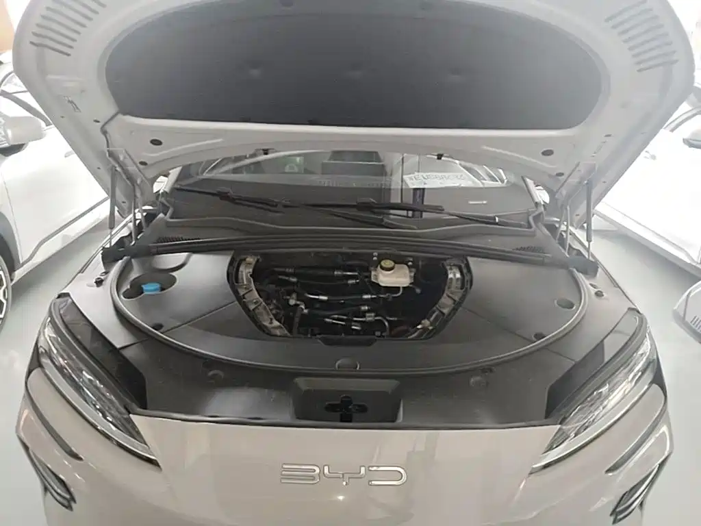 BYD Song PLUS New Energy 2024 — фото 20