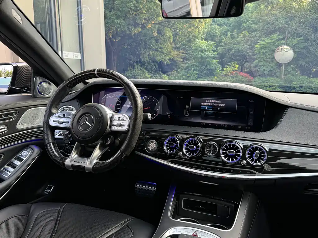 Mercedes-Benz S-Class AMG 2018 — фото 23