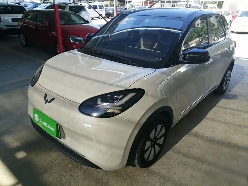 Wuling Bingo 2024