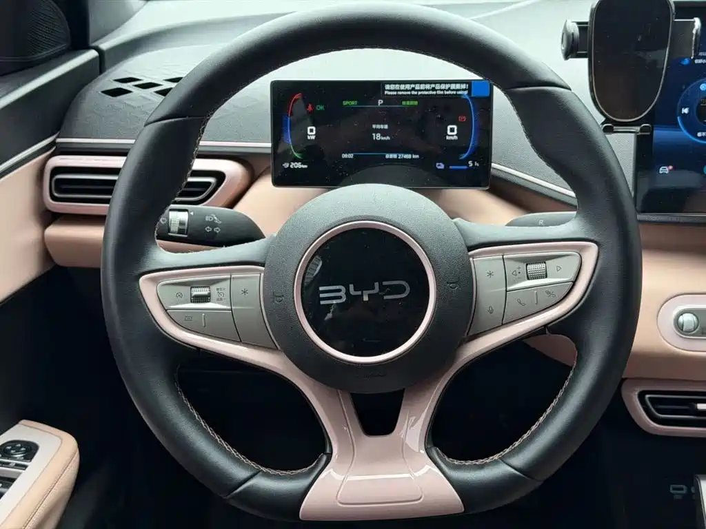 BYD Seagull 2025